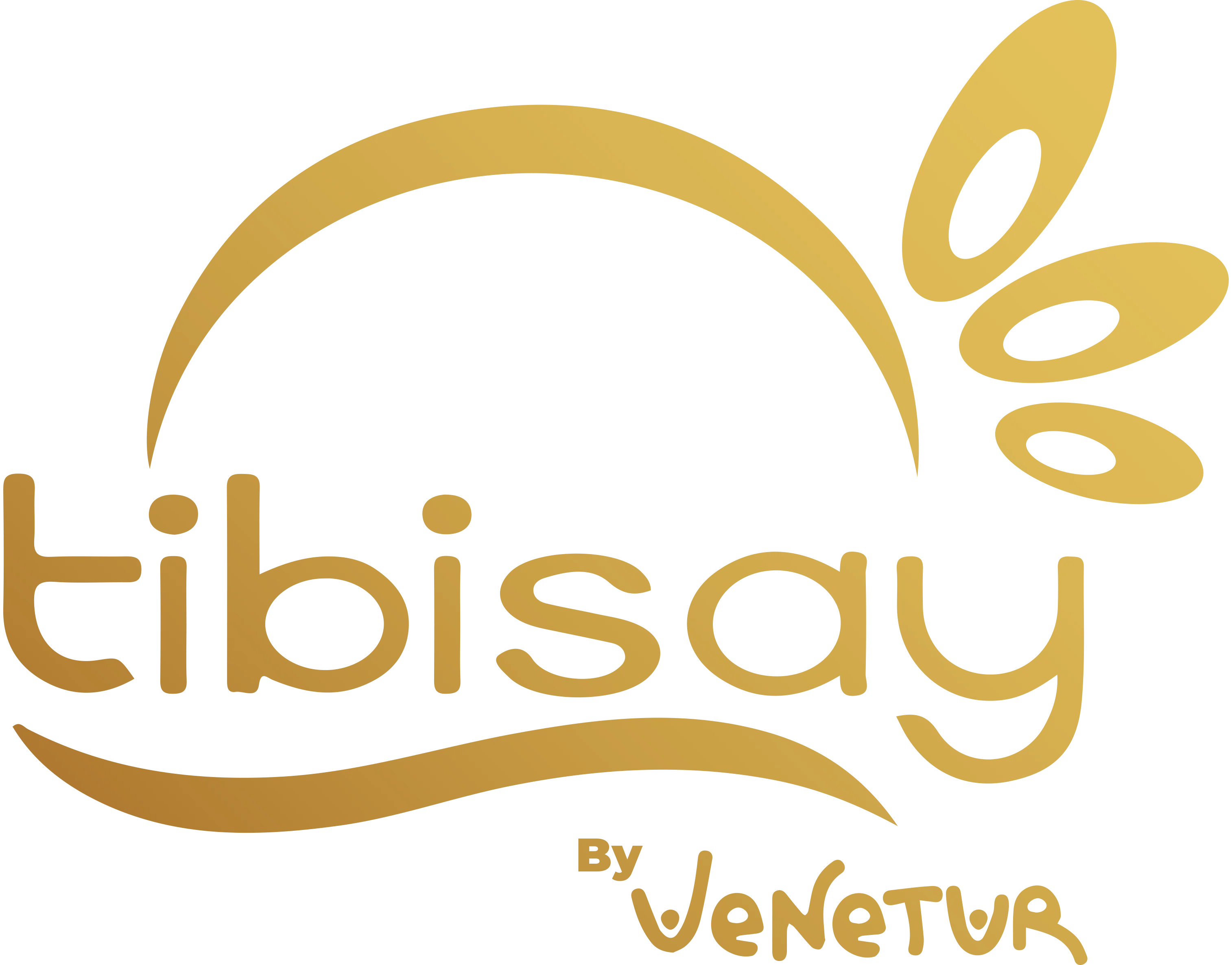logo-tibi.webp